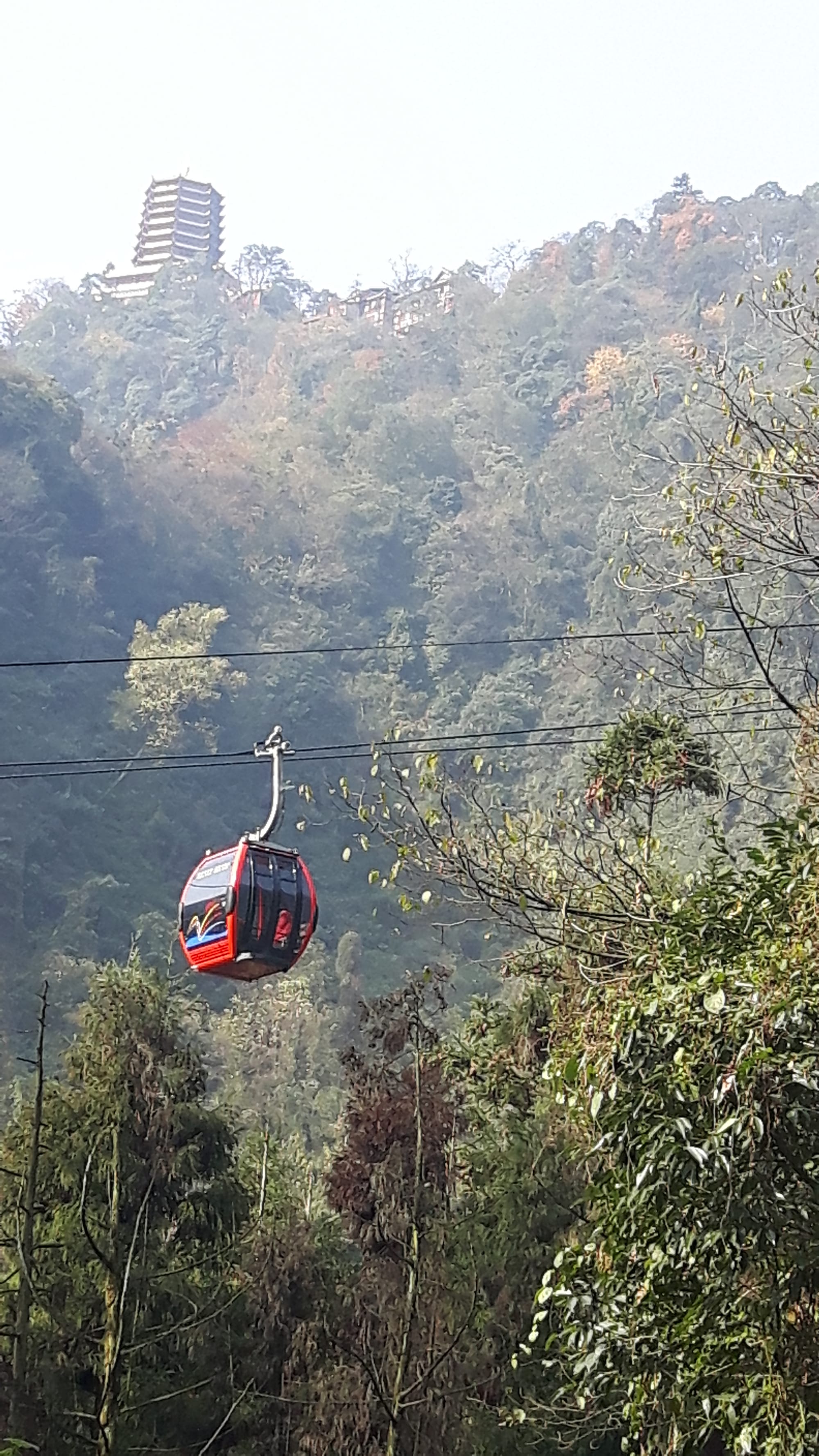 Dead(ly) Poets Society